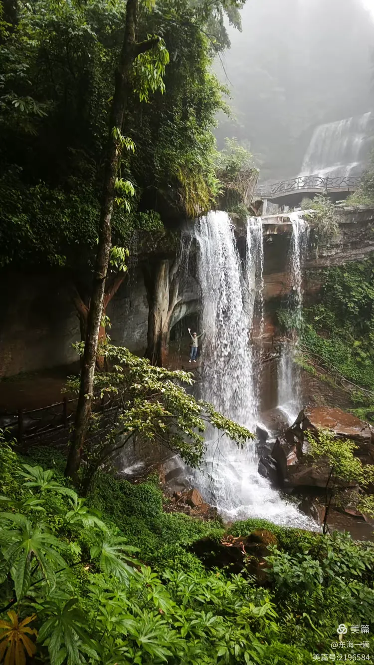 昭通水富铜锣坝国家森林公园